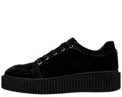 A9173 Black Wingtip Casbah Creeper