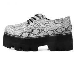 A9721 Glow Snakeskin Dino Lug Sole Womens