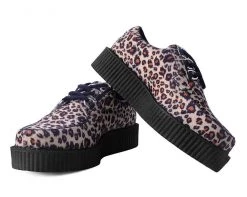 T2286 Creepers Leopard Anarchic 3-Ring Creeper 7 T2286 Creepers Leopard Anarchic 3-Ring Creeper