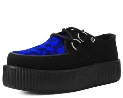 V9545 Black & Blue Leopard Viva Mondo Creeper
